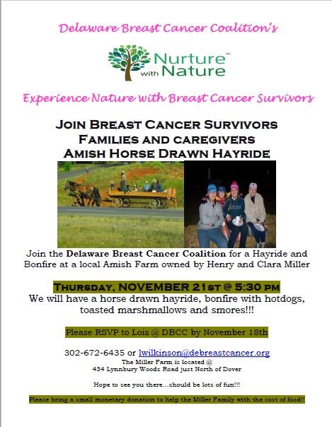 Amish Horse Drawn Hayride - Nurture with Nature