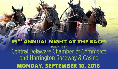 15th Annual Night at the Races